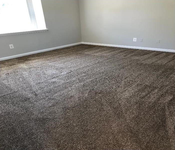 Empty bedroom with clean carpet