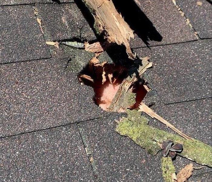 Hole in a roof from a tree branch