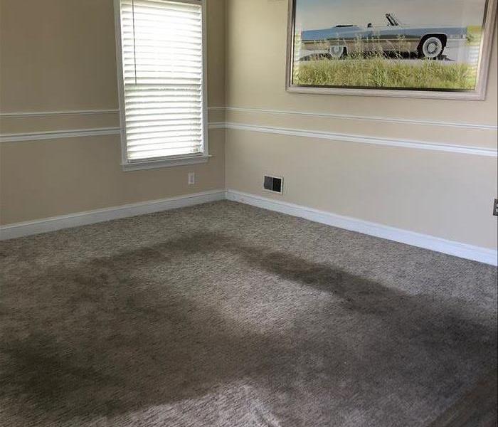 Empty living room with dirty carpet