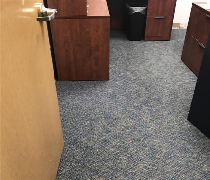  Dry carpet in an office