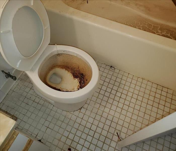 Dirty toilet and bathtub in a bathroom