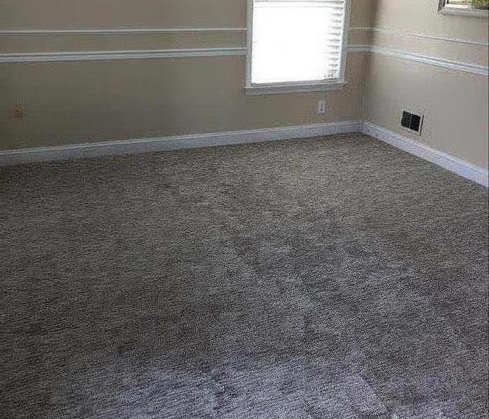 Empty living room with clean carpet