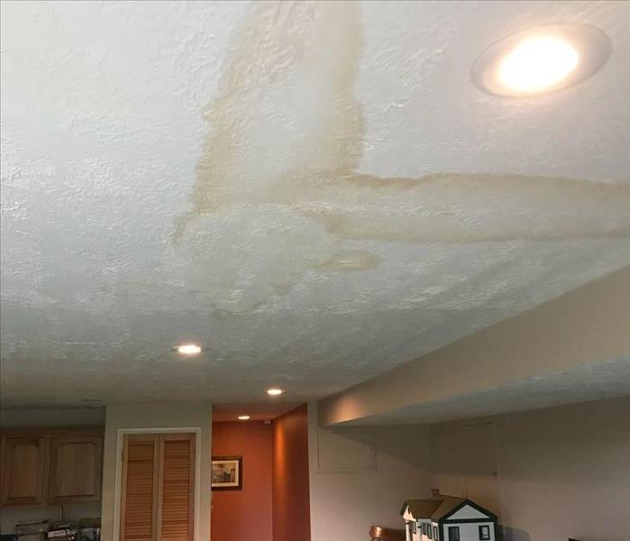 Water stains on the ceiling in the family room