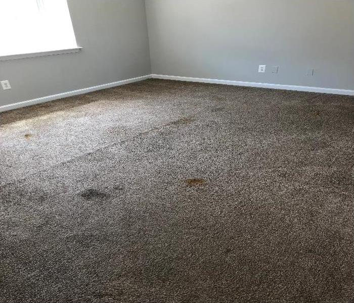 Empty bedroom with stained carpet