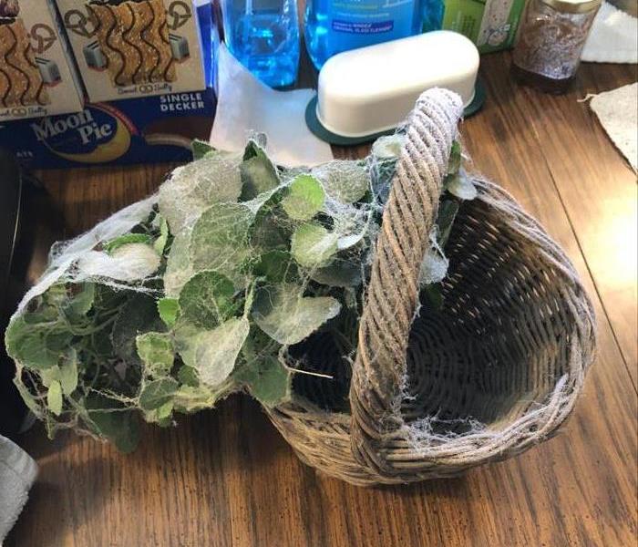 A dirty artificial plant in a basket
