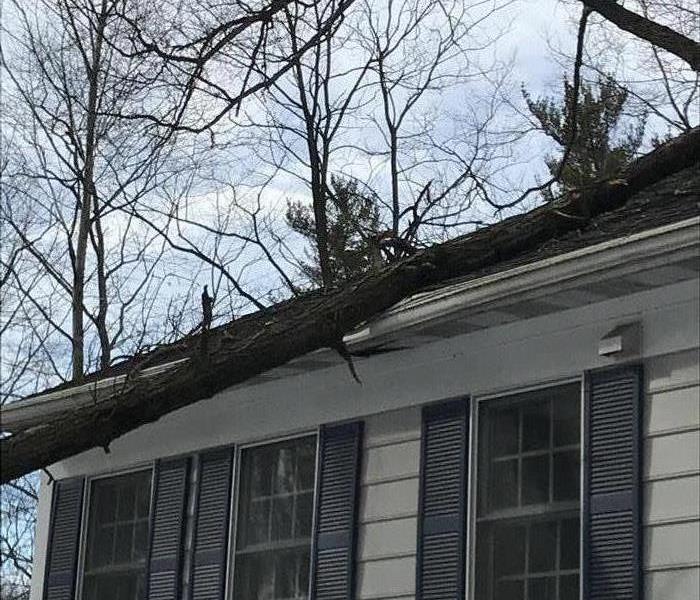 A tall and slim tree laying on the roof of a house