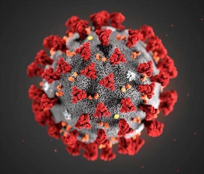 Close up a virus cell